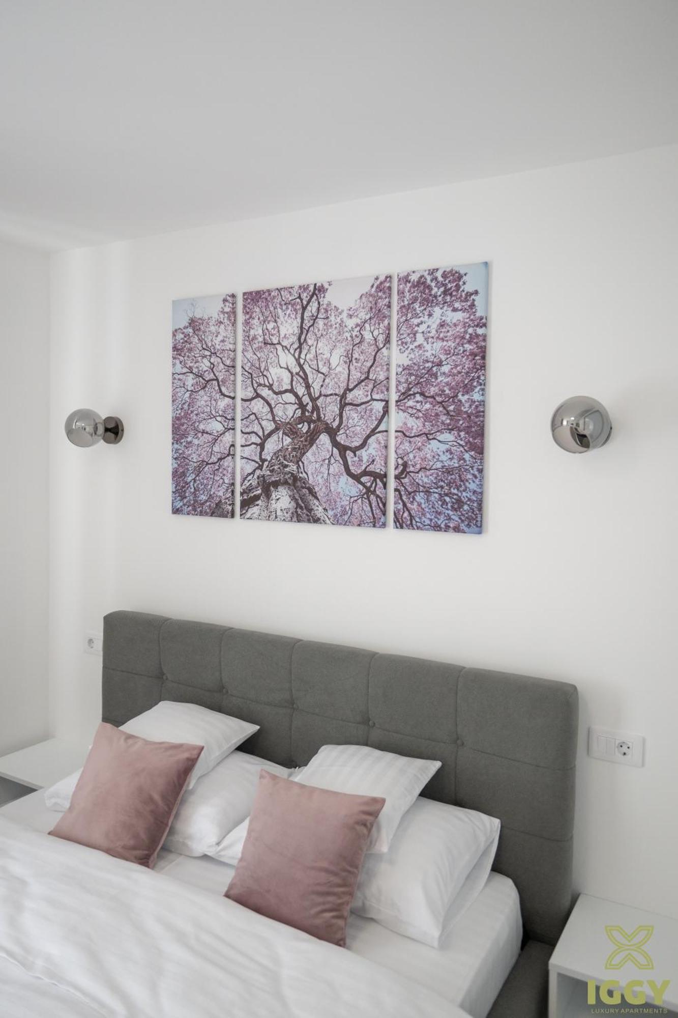Iggy Premium Apartment Hunedoara Exteriér fotografie